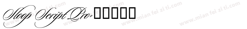 Sloop Script Pro字体转换